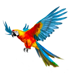 Custom built water park tubes Zebec